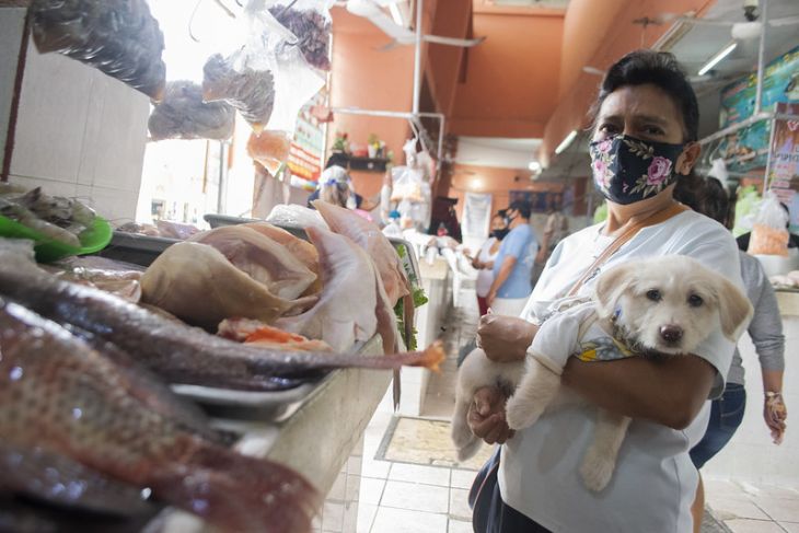 La SSY reporta 236 nuevos casos de Covid-19 en Yucatán